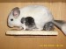 O. Myška a Čertík s maminou